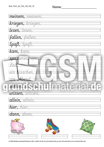 DSS_2S_FW_100_NR_78.pdf